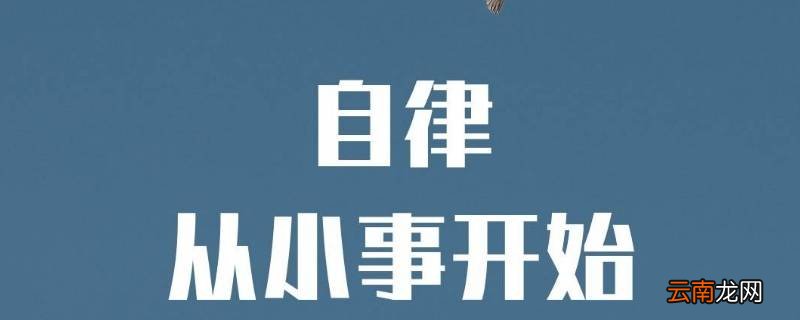 什么才叫自律