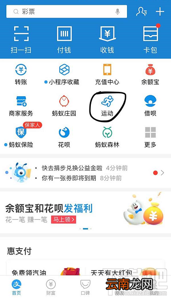 支付宝运动卡币怎么兑换运动保险？
