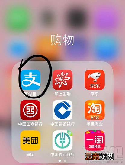 支付宝运动卡币怎么兑换运动保险？
