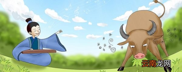 对牛弹琴歇后语 对牛弹琴歇后语的下一句
