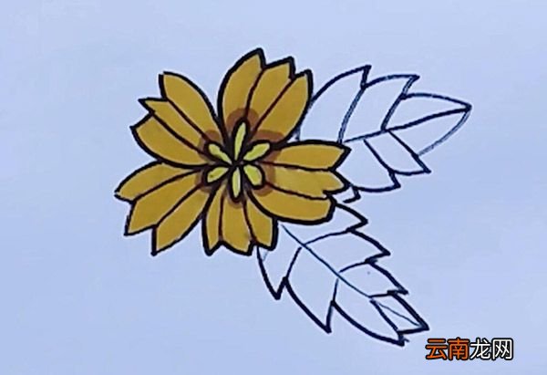黄色小花简笔画