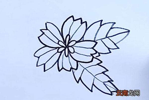 黄色小花简笔画