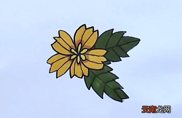 黄色小花简笔画