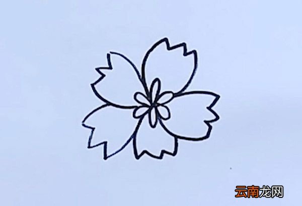 黄色小花简笔画