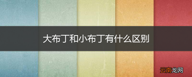 大布丁和小布丁有什么区别