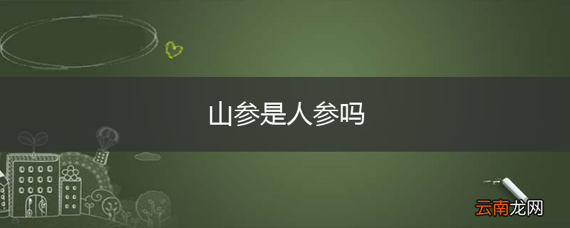 山参是人参吗