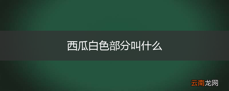西瓜白色部分叫什么