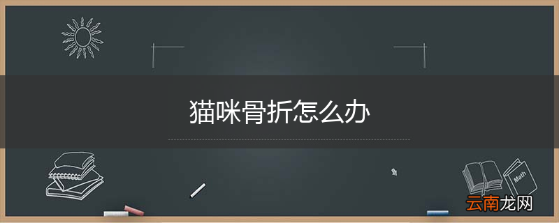 猫咪骨折怎么办