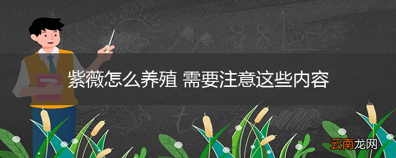 紫薇怎么养殖 需要注意这些内容