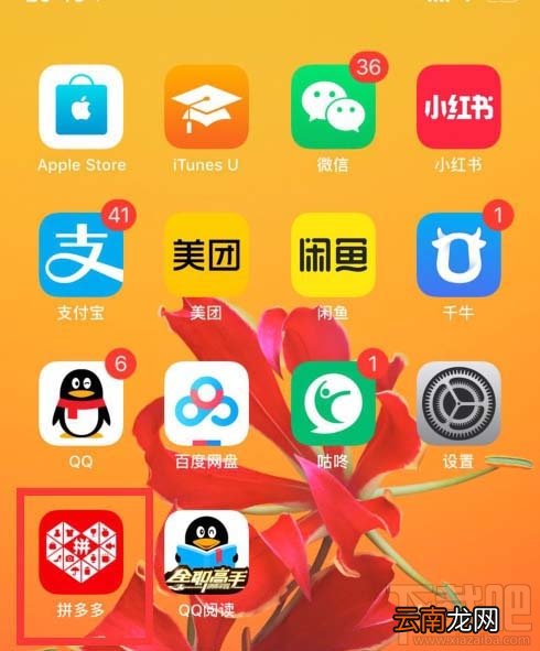 拼多多怎么删除果园中的好友？