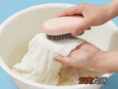 老鼠贴的胶怎么去除