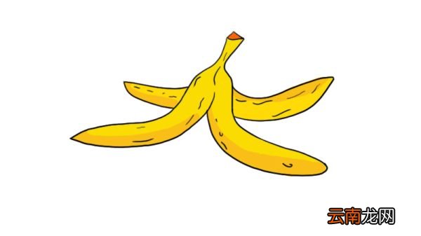 香蕉皮简笔画 香蕉皮的简单画法