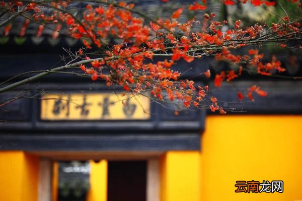 题花山寺壁古诗注音版题花山寺壁古诗翻译