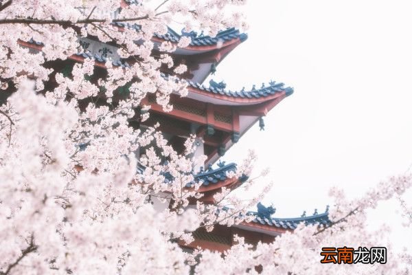 题花山寺壁古诗注音版题花山寺壁古诗翻译