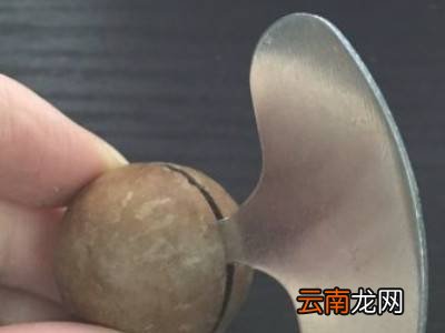夏威夷果开果器怎么用