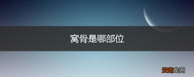 窝骨是哪部位