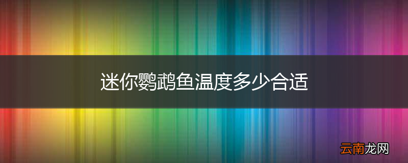迷你鹦鹉鱼温度多少合适