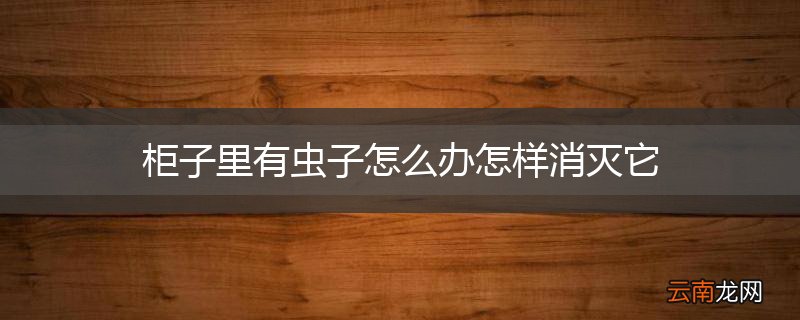 柜子里有虫子怎么办怎样消灭它