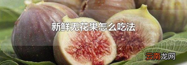 新鲜无花果怎么吃法