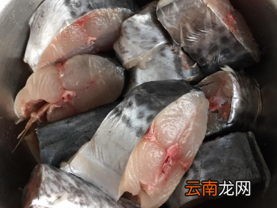 冰鲜的大鲅鱼怎么保存