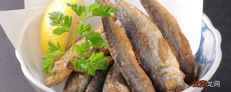炸鱼为什么会有很多泡沫