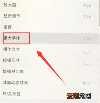 苹果6plus中调小字体的操作步骤