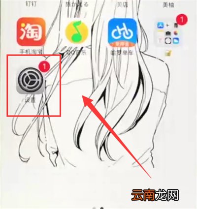 苹果6plus中调小字体的操作步骤