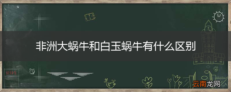 非洲大蜗牛和白玉蜗牛有什么区别