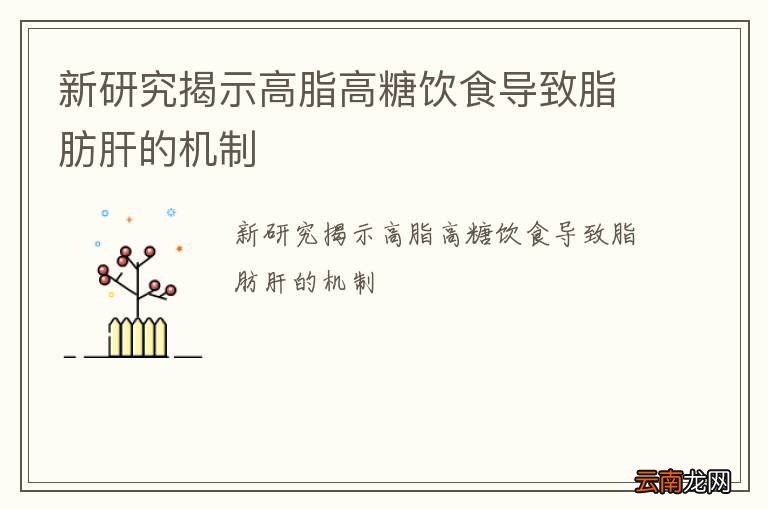 新研究揭示高脂高糖饮食导致脂肪肝的机制