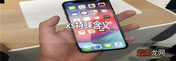 xs特殊含义