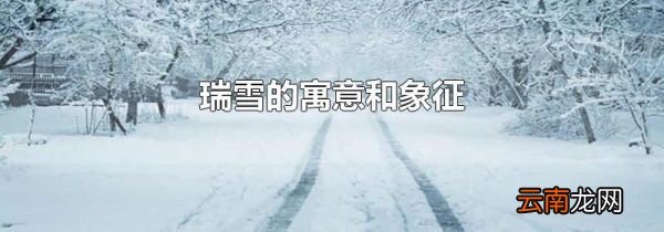 瑞雪的寓意和象征