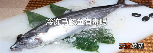 冷冻马鲛鱼有毒吗