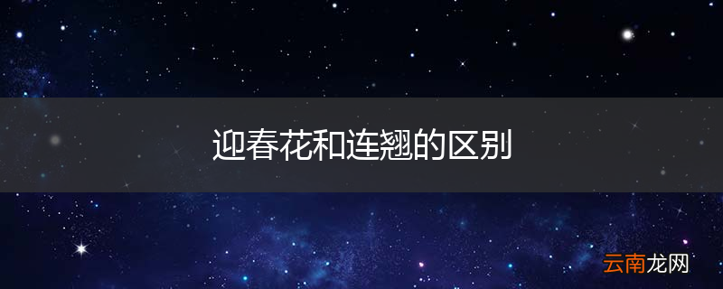 迎春花和连翘的区别