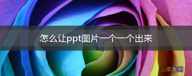 怎么让ppt图片一个一个出来