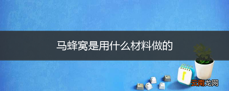 马蜂窝是用什么材料做的