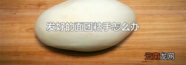 发好的面团粘手怎么办