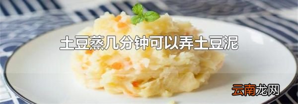 土豆蒸几分钟可以弄土豆泥