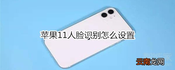 苹果11人脸识别怎么设置