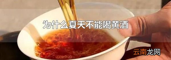 为什么夏天不能喝黄酒