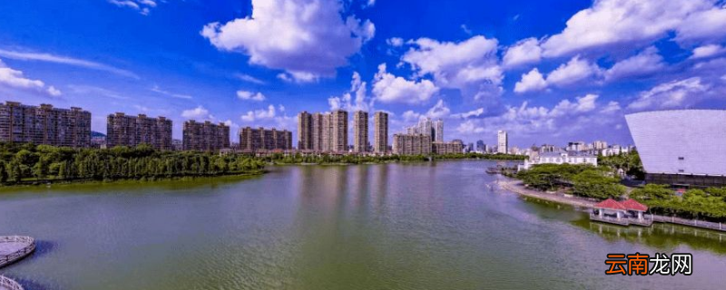 工小美指的是什么