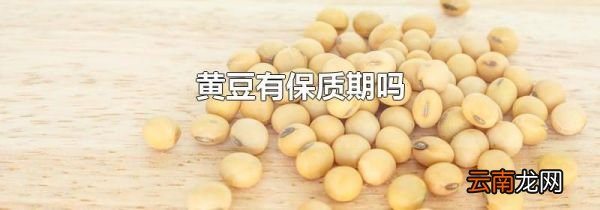 黄豆有保质期吗