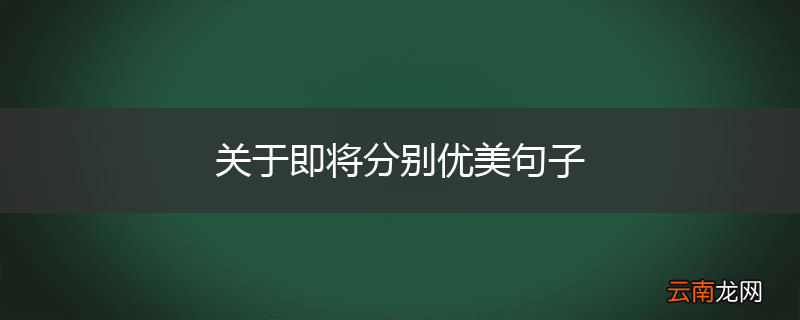 关于即将分别优美句子