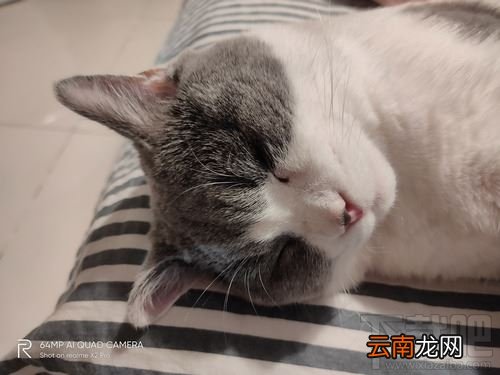 realme X2 Pro手机值不值得购买?realme X2 Pro外观/拍照/游戏/充电体验评测