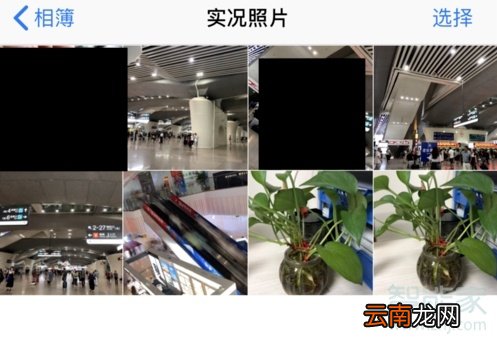 苹果11动态壁纸怎么设置声音