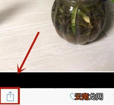 苹果11动态壁纸怎么设置声音