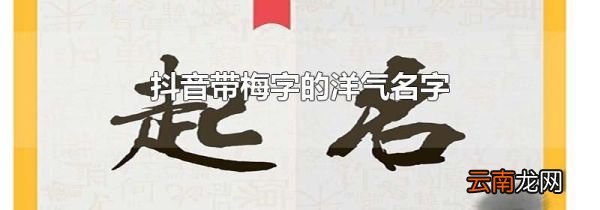 抖音带梅字的洋气名字