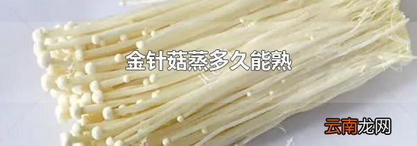 金针菇蒸多久能熟
