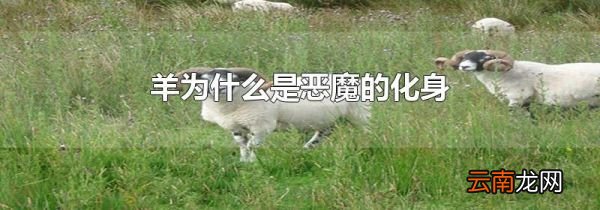 羊为什么是恶魔的化身