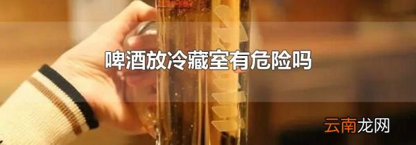 啤酒放冷藏室有危险吗