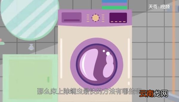 床上除螨虫的最快方法 如何去除床上的螨虫